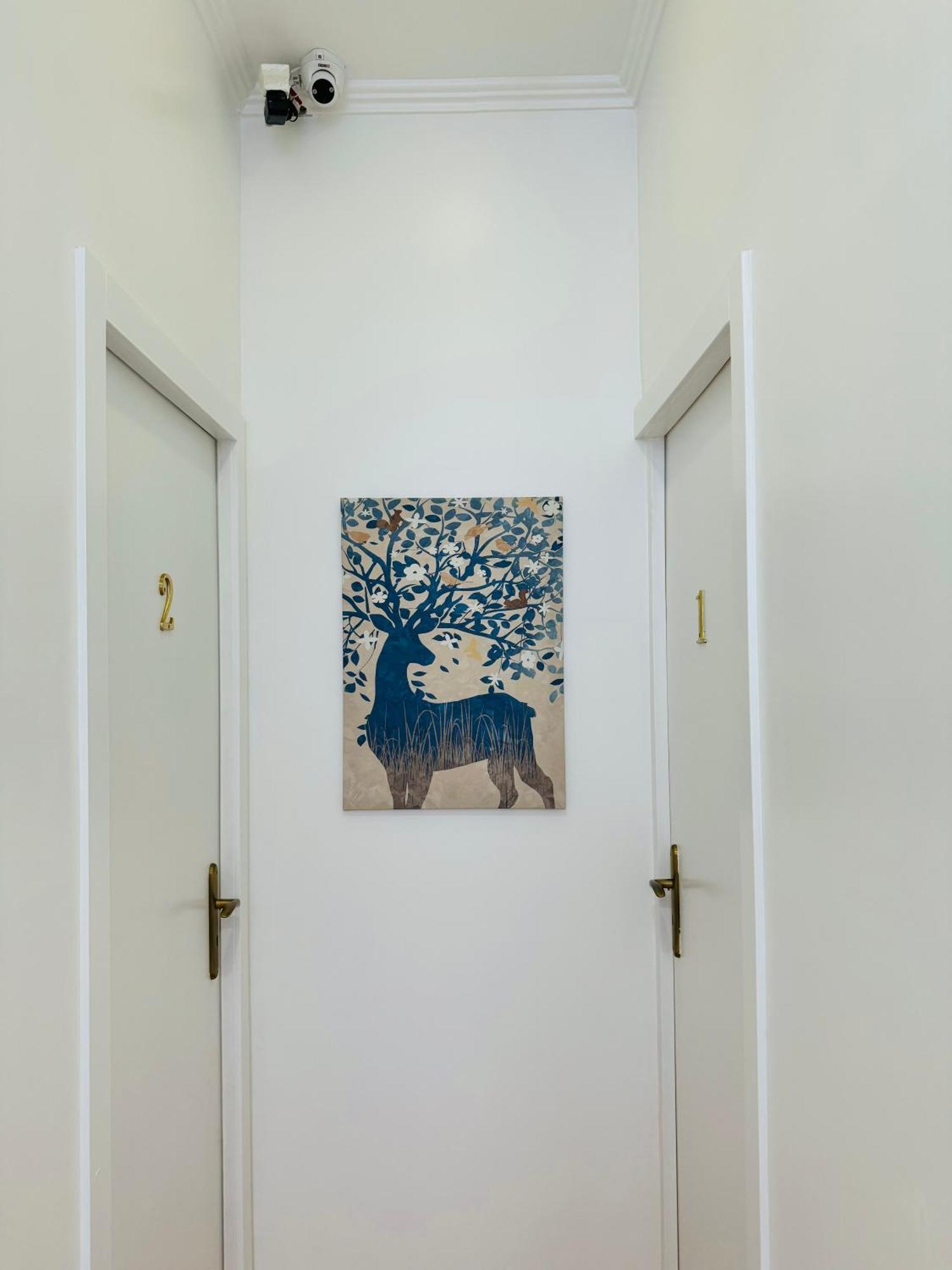 Apartamento Alfama - Lisboa Eksteriør billede